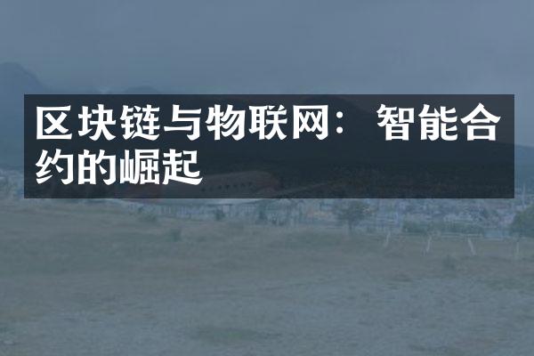 区块链与物联网：智能合约的崛起