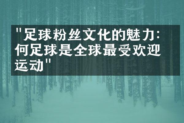 "足球粉丝文化的魅力：为何足球是全球最受欢迎的运动"