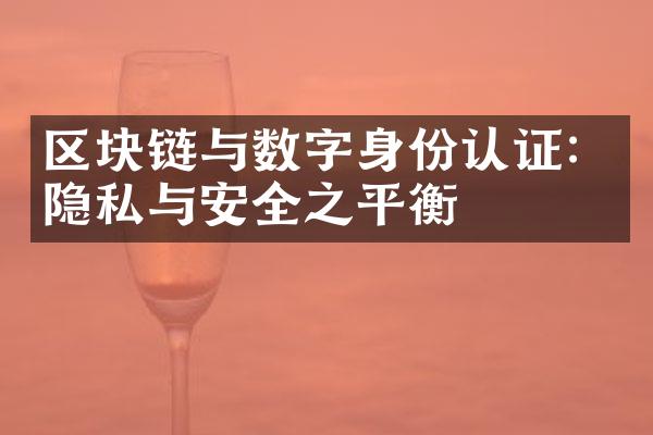 区块链与数字身份认证：隐私与安全之平衡