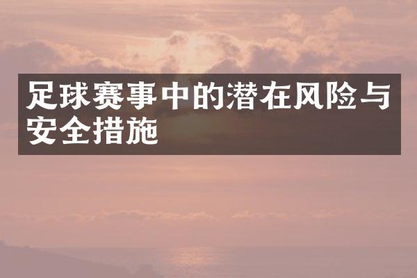 足球赛事中的潜在风险与安全措施