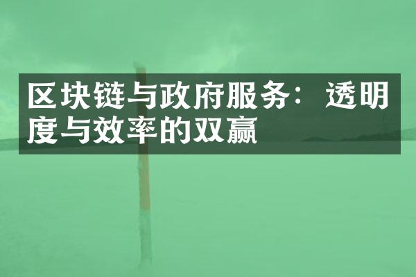 区块链与政府服务：透明度与效率的双赢