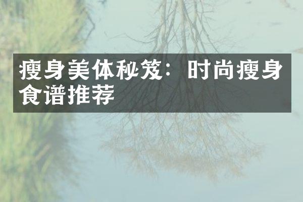 瘦身美体秘笈：时尚瘦身食谱推荐