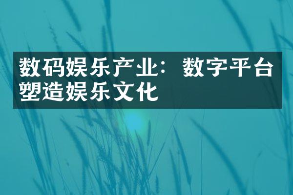 数码娱乐产业：数字平台塑造娱乐文化