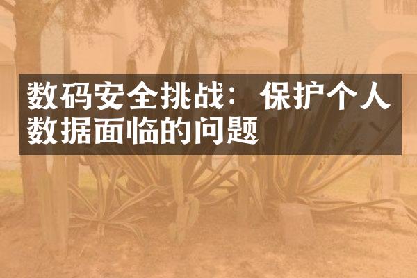 数码安全挑战：保护个人数据面临的问题