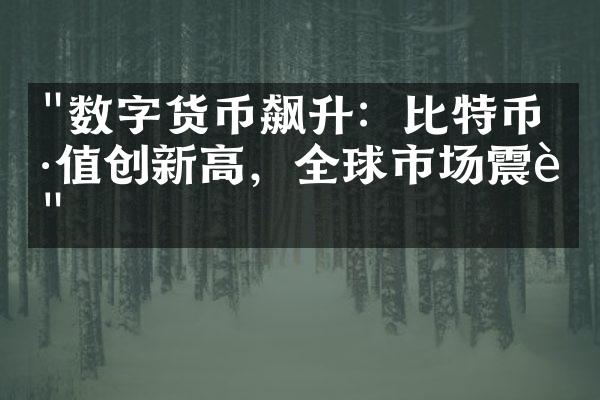 "数字货币飙升：比特币价值创新高，全球市场震荡"