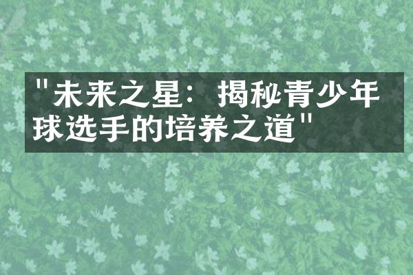 "未来之星：揭秘青少年网球选手的培养之道"