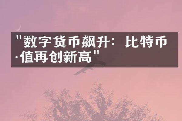 "数字货币飙升：比特币价值再创新高"