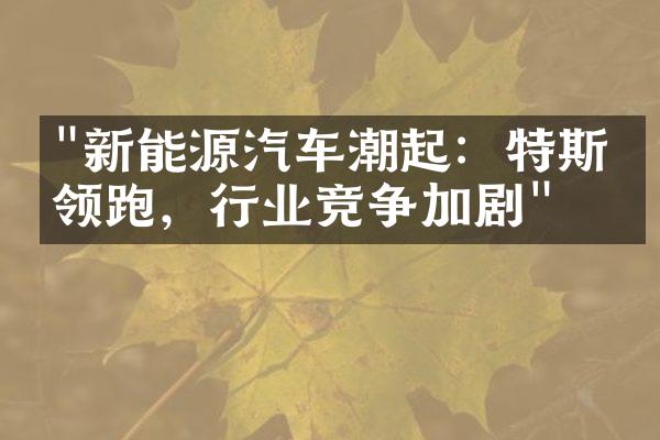 "新能源汽车潮起：特斯拉领跑，行业竞争加剧"