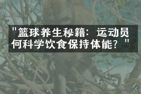 "篮球养生秘籍：运动员如何科学饮食保持体能？"