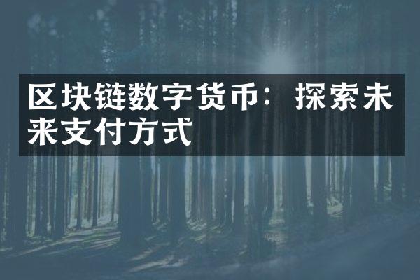 区块链数字货币：探索未来支付方式