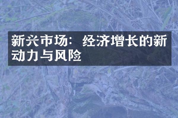 新兴市场：经济增长的新动力与风险