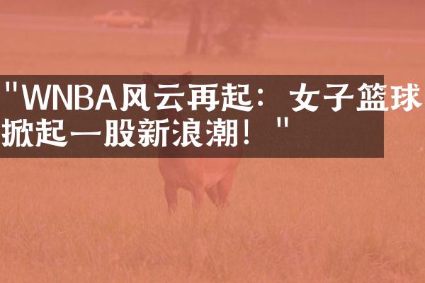 "WNBA风云再起：女子篮球正掀起一股新浪潮！"