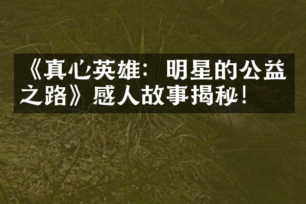 《真心英雄：明星的公益之路》感人故事揭秘！