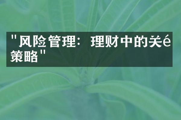 "风险管理：理财中的关键策略"