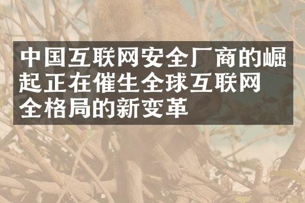 中国互联网安全厂商的崛起正在催生全球互联网安全格局的新变革