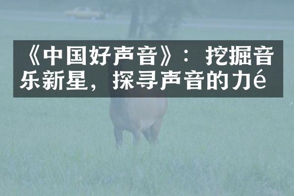 《中国好声音》：挖掘音乐新星，探寻声音的力量