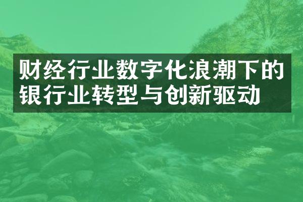 财经行业数字化浪潮下的银行业转型与创新驱动