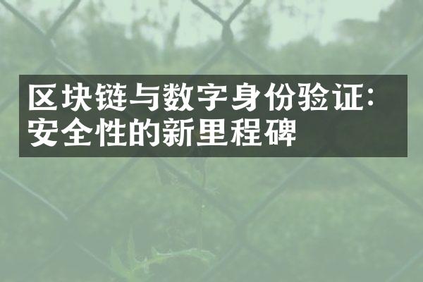 区块链与数字身份验证：安全性的新里程碑