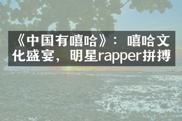 《中国有嘻哈》：嘻哈文化盛宴，明星rapper拼搏