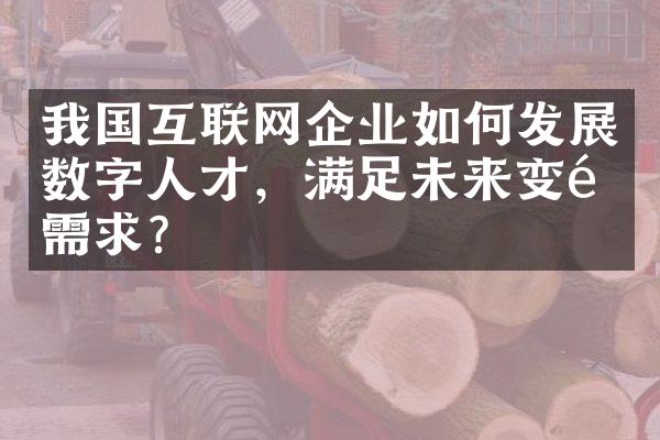 我国互联网企业如何发展数字人才，满足未来变革需求？