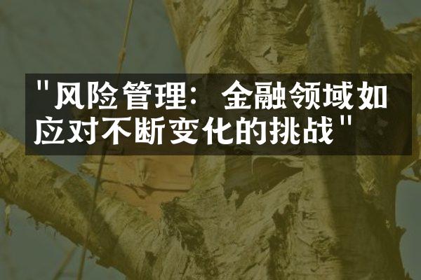 "风险管理：金融领域如何应对不断变化的挑战"