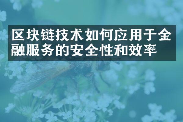 区块链技术如何应用于金融服务的安全性和效率？