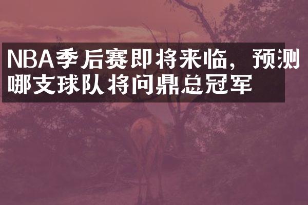 NBA季后赛即将来临，预测哪支球队将问鼎总冠军？