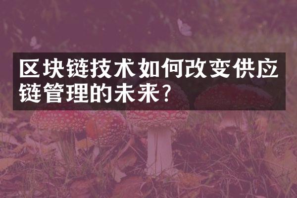 区块链技术如何改变供应链管理的未来？