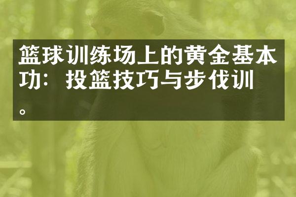 篮球训练场上的黄金基本功：投篮技巧与步伐训练。