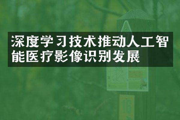 深度学习技术推动人工智能医疗影像识别发展