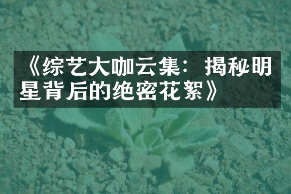 《综艺咖云集：揭秘明星背后的绝密花絮》