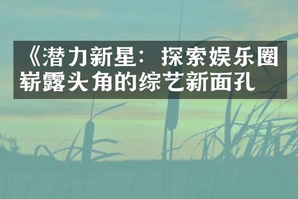 《潜力新星：探索娱乐圈崭露头角的综艺新面孔》