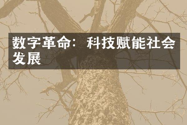 数字：科技赋能社会发展