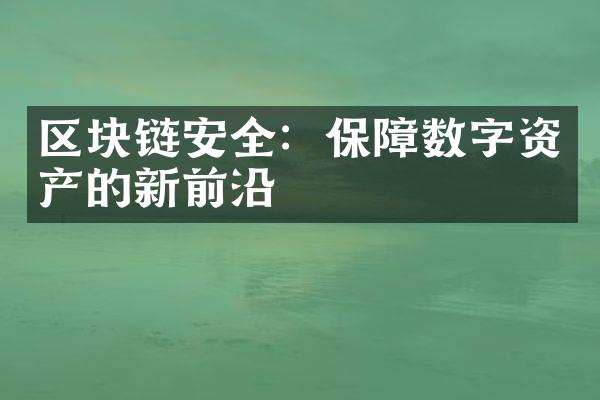 区块链安全：保障数字资产的新前沿