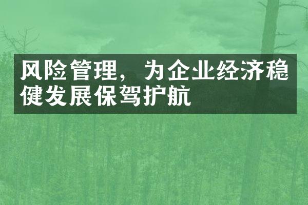 风险管理，为企业经济稳健发展保驾护航