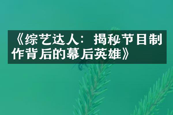 《综艺达人：揭秘节目制作背后的幕后英雄》