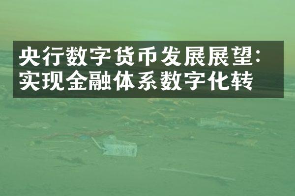 央行数字货币发展展望：实现金融体系数字化转型