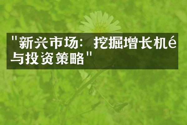 "新兴市场：挖掘增长机遇与投资策略"