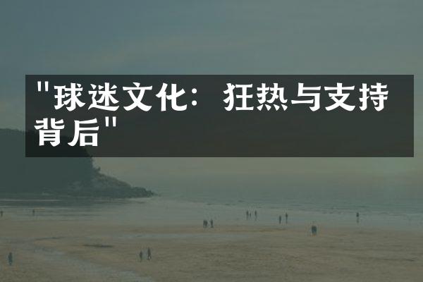 "球迷文化：狂热与支持的背后"