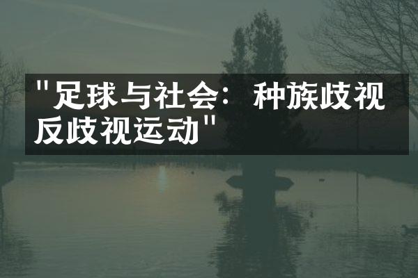 "足球与社会：种族歧视与反歧视运动"