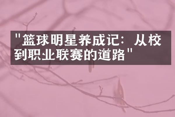 "篮球明星养成记：从校园到职业联赛的道路"