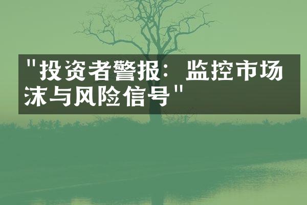 "投资者警报：监控市场泡沫与风险信号"