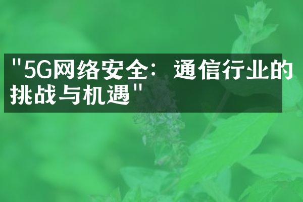 "5G网络安全：通信行业的挑战与机遇"