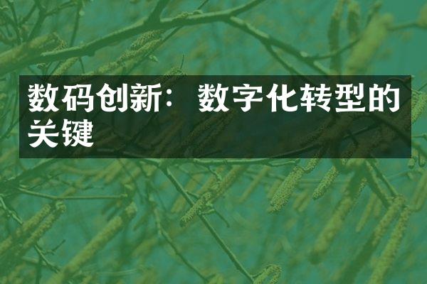 数码创新：数字化转型的关键