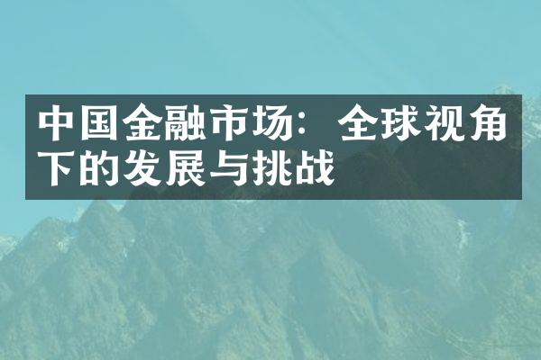 中国金融市场：全球视角下的发展与挑战