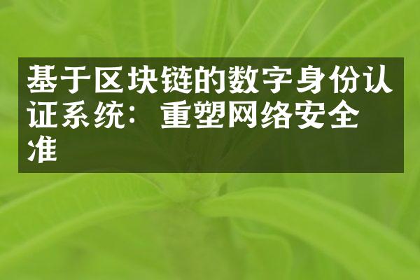 基于区块链的数字身份认证系统：重塑网络安全标准