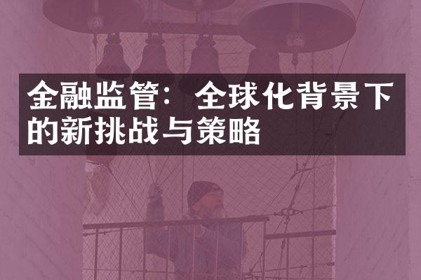 金融监管：全球化背景下的新挑战与策略