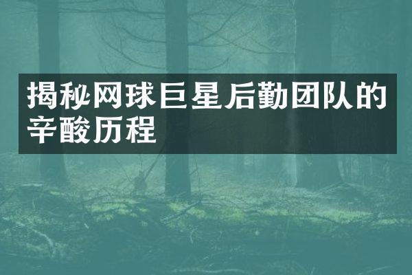 揭秘网球巨星后勤团队的辛酸历程