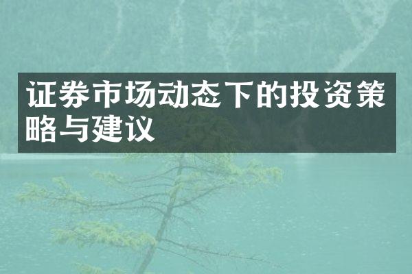 证券市场动态下的投资策略与建议