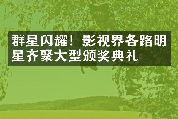 群星闪耀！影视界各路明星齐聚大型颁奖典礼